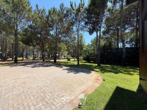 Foto 50