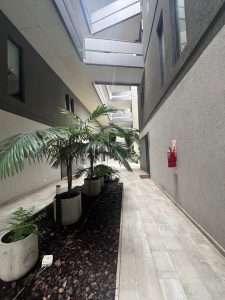 Foto 19